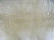 White Fur Texture (1).jpg